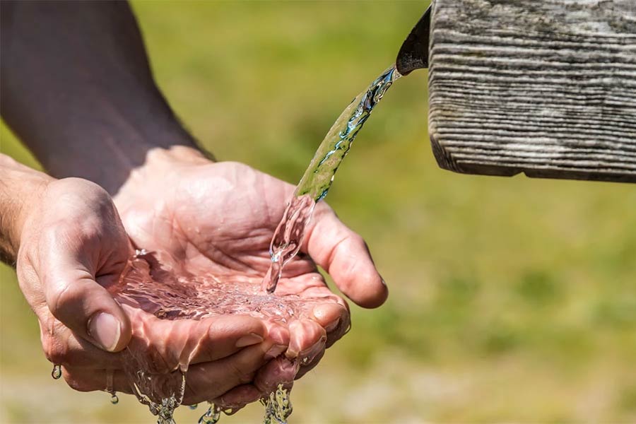 Ризик інфекцій і розлади травлення